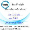 Shenzhen Port Sea Freight Shipping To Midland